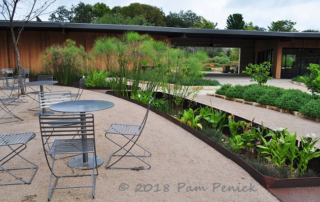 Food For People And Butterflies In San Antonio Botanical Garden S