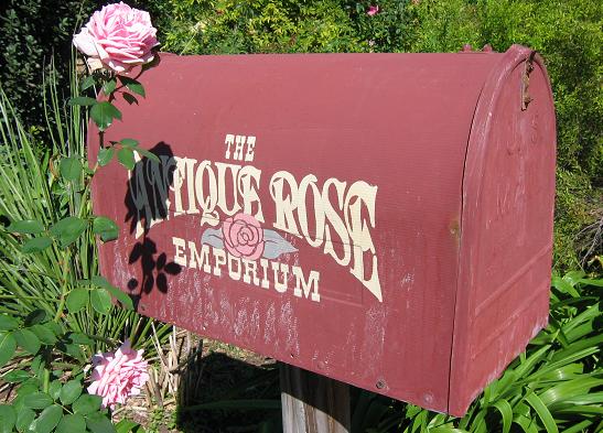 Nursery tour: The Antique Rose Emporium