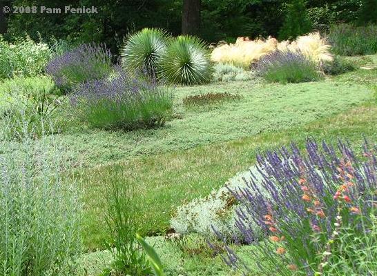 A visit to Chanticleer: Gravel Garden and Ruin