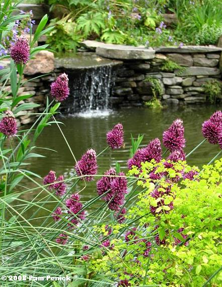 A visit to Chanticleer: Pond Garden