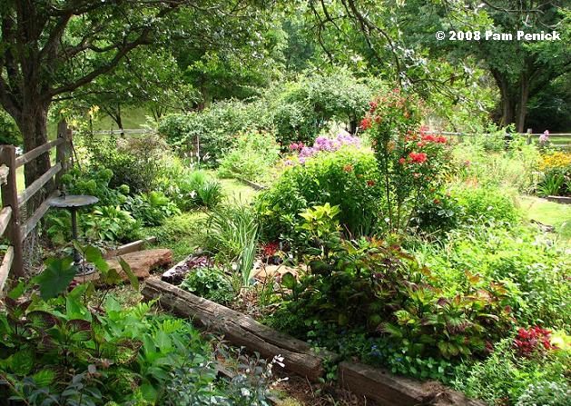 Dee-lightful visit to Dee Nash's Oklahoma garden
