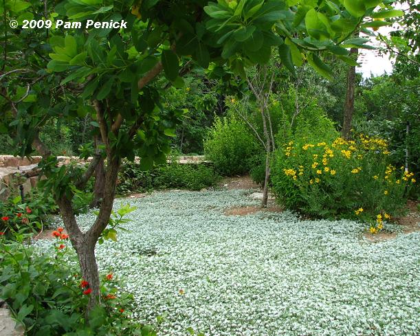 Gardens on Tour 2009: Buckeye Trail garden