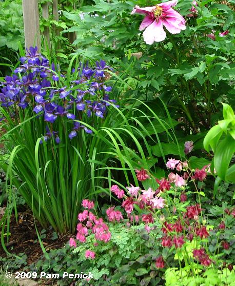 Intimate gardens of Spring Fling