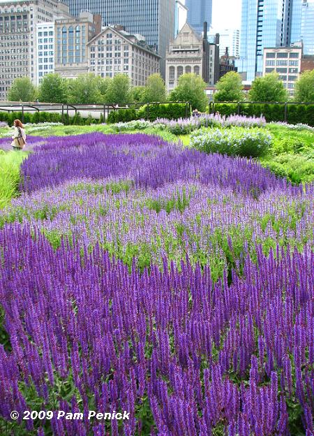 On Cloud Nine In Lurie Garden Digging