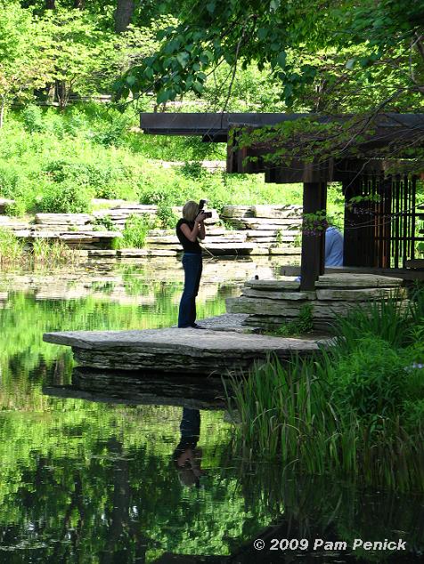 Caldwell Lily Pool, an oasis in Chicago