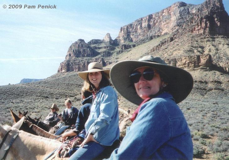 Mule skinning in the Grand Canyon