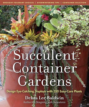 Read This: Succulent Container Gardens
