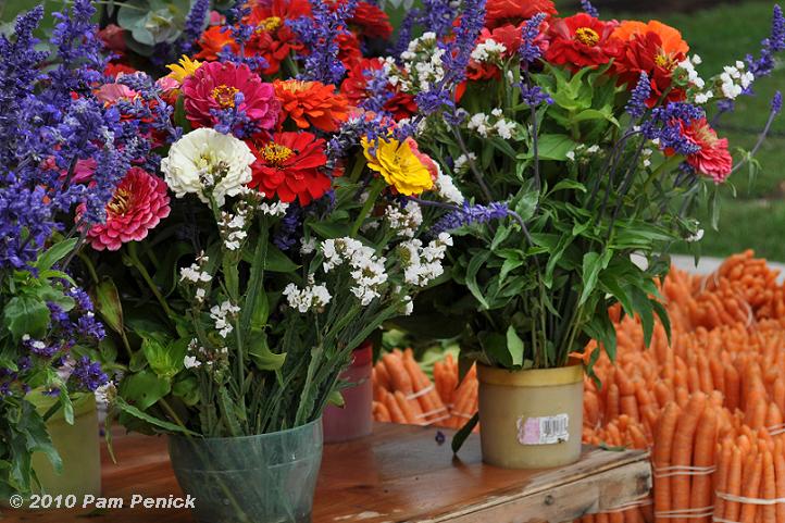Bloom Day at Madison's Farmers Market