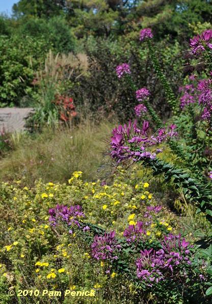 Intimate views at Olbrich Gardens