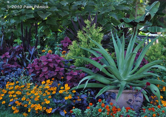 Tropicals & more at Olbrich Botanical Gardens