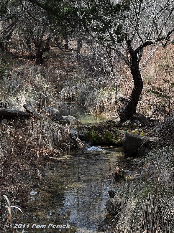 Selah, Bamberger Ranch Preserve: Healing "the sorriest piece of land"