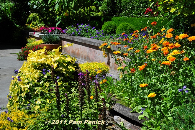 Dunn Gardens at Seattle Garden Bloggers Fling