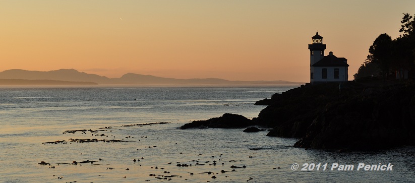 Orcas, eagles & scenic views in the San Juan Islands