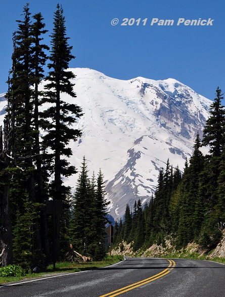 Majestic Mount Rainier National Park