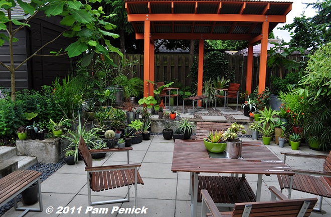 Foliage fantasia in Portland's Danger Garden