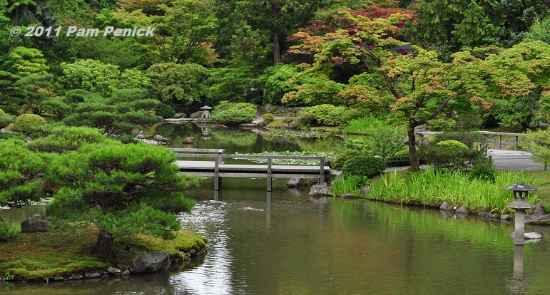 Seattle Japanese Garden, a tranquil oasis in the city