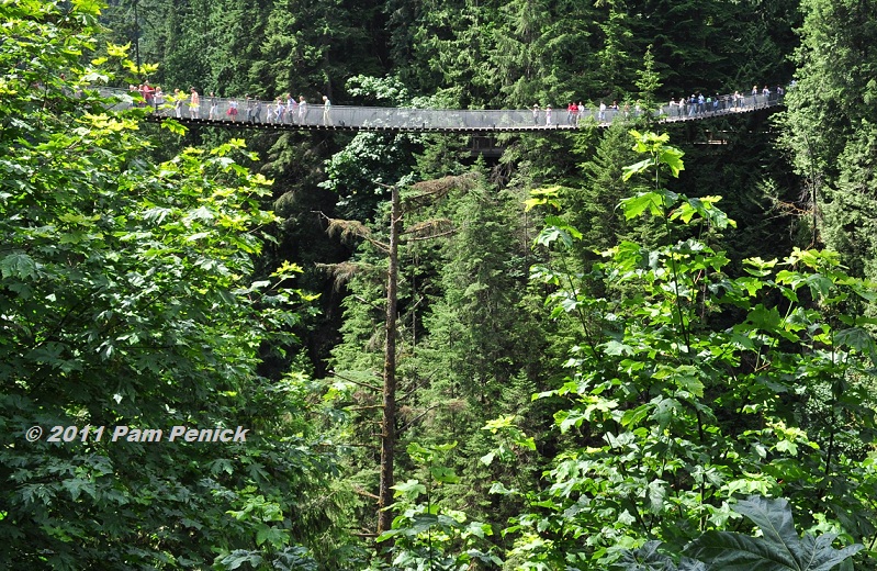 Walking on air at Capilano Suspension Bridge in Vancouver