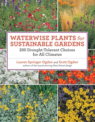 Read This: Waterwise Plants for Sustainable Gardens