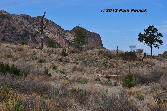 Canyons, river, and sky: Big Bend country (Days 2-3)