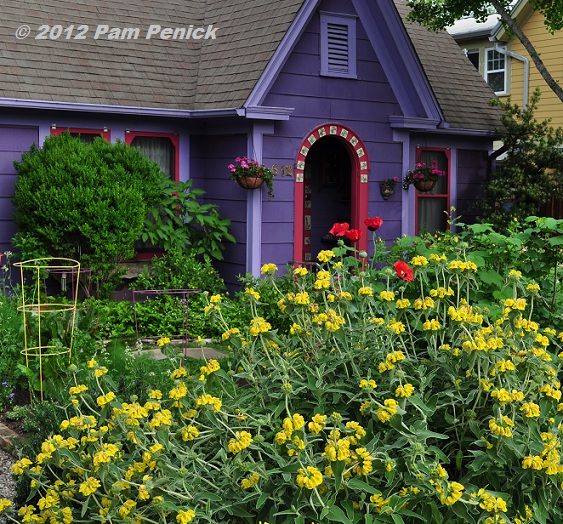 Lucinda Hutson's Easter-egg colorful garden