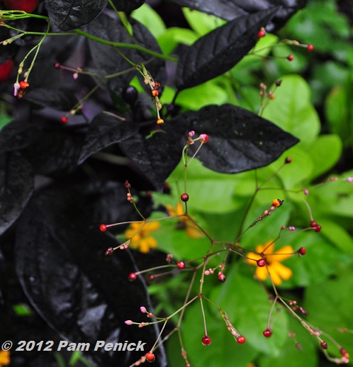 Charming public gardens at Fearrington Village