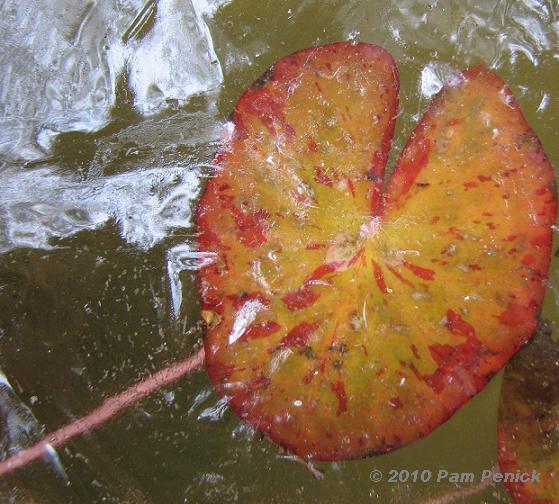 Winterizing a stock tank pond