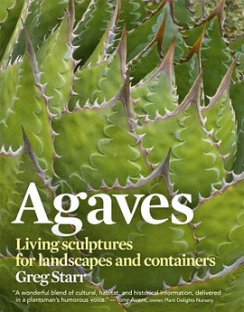 Read This: Agaves: Living Sculptures for Landscapes and Containers
