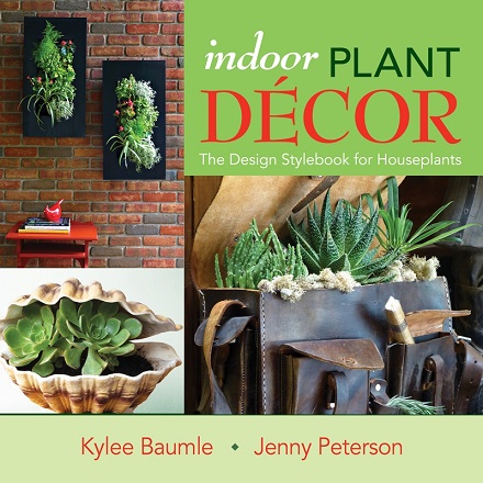 Virtual book tour for Indoor Plant Decor, plus a Bonsai Tool Set Giveaway