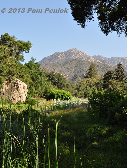Native California plants shine at Santa Barbara Botanic Garden
