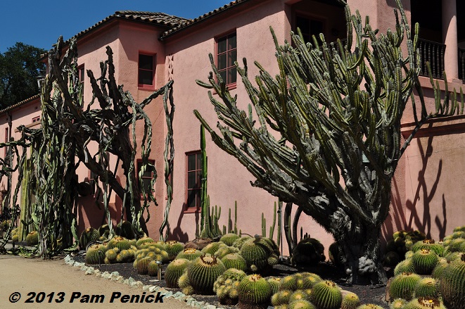 Visit to Lotusland, part 2: House Garden with cactus and euphorbia