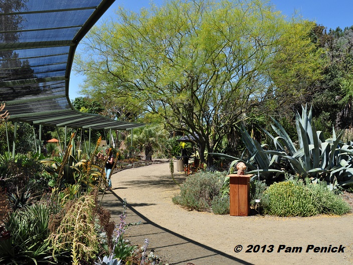 Sculptural dry gardens at the Ruth Bancroft Garden: San Francisco Garden Bloggers Fling