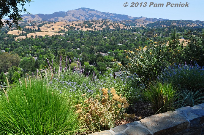 Golden views in the Dudan Garden: San Francisco Garden Bloggers Fling