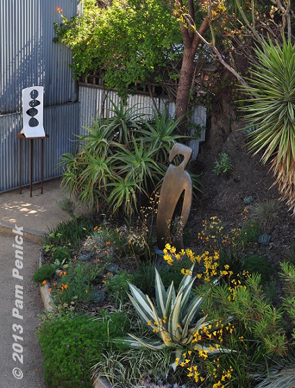 The vertical hillside garden of Matt Gil: San Francisco Garden Bloggers Fling
