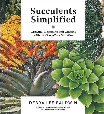 Read This: Succulents Simplified