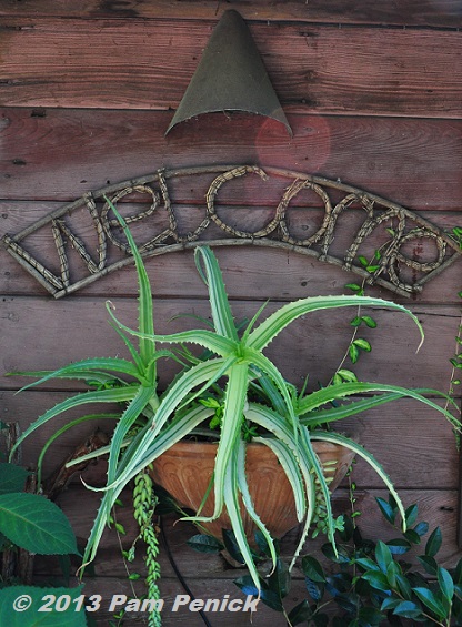 Mementoes and memories in the garden of Rebecca Sweet: San Francisco Garden Bloggers Fling