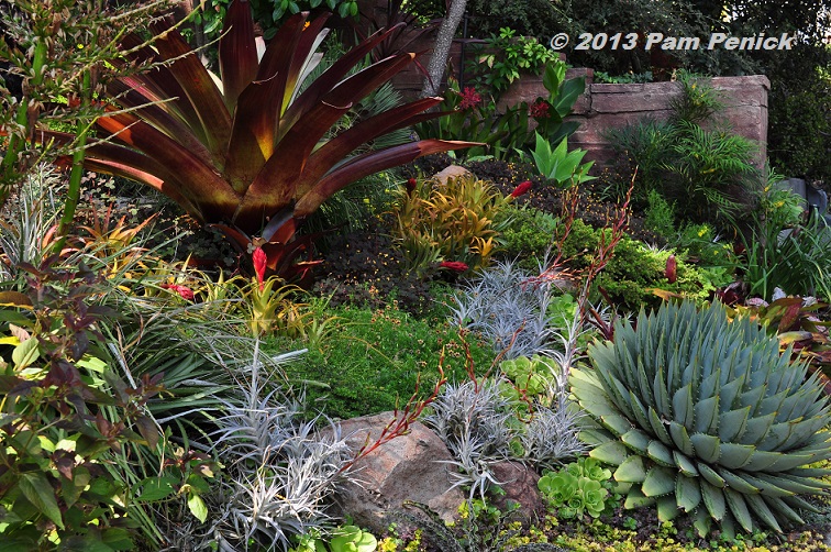 Hillside magic in the Nichols Garden: San Francisco Garden Bloggers Fling