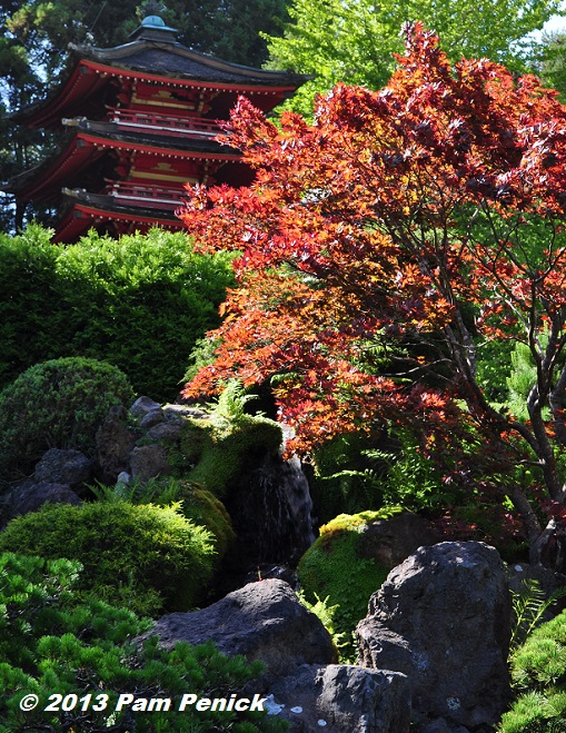 Red pagoda and maples in Golden Gate Park's Japanese Tea Garden