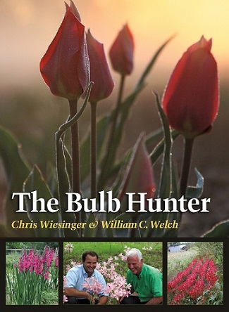 Read This: The Bulb Hunter