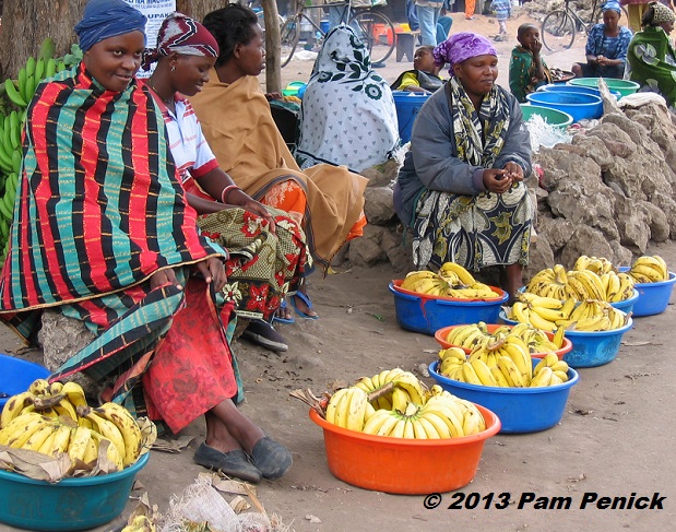 Tanzanian safari: Mto Wa Mbu village