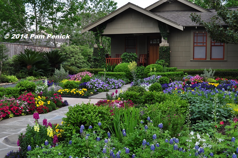 Drive-By Gardens: No-lawn flower garden at Houston Heights bungalow