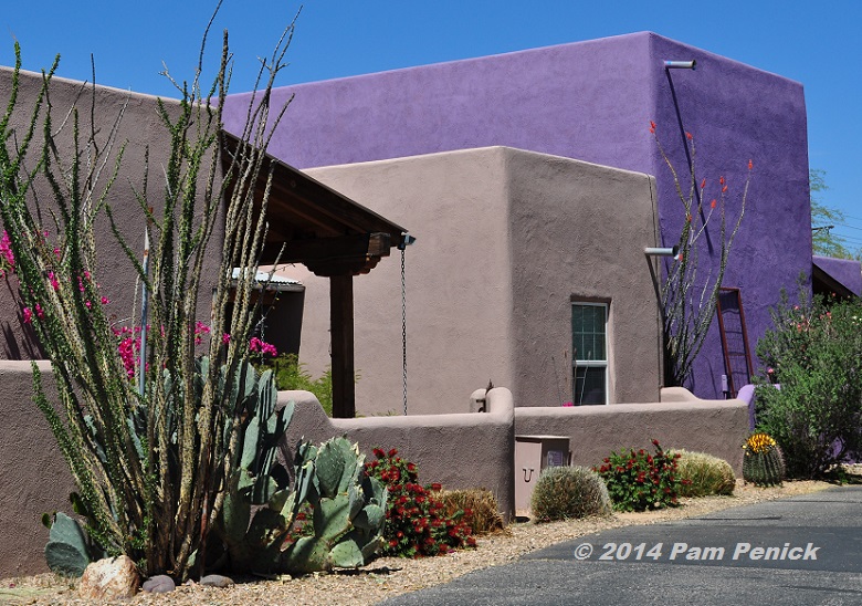 Living colorfully in Civano, Tucson's green-home community