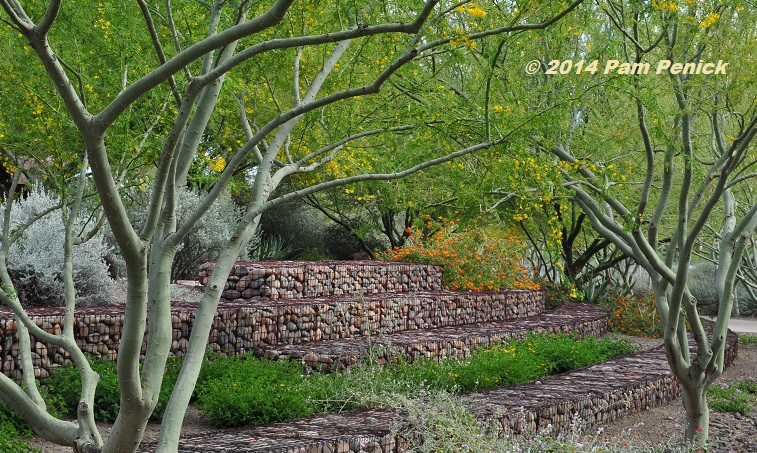 Xeriscape is not a zeroscape: Scottsdale Xeriscape Garden demonstrates the beauty of saving water
