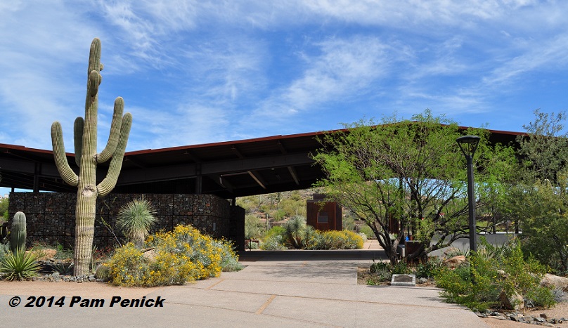 Inspired landscape architecture at Cavalliere Park in Scottsdale