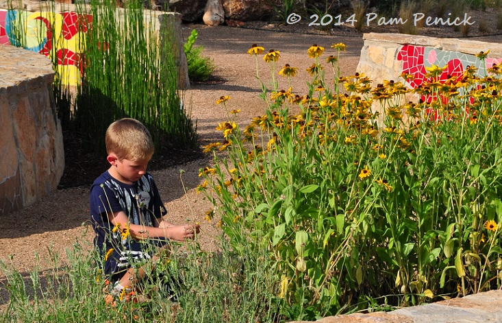 Nature Nights introduces kids to the Wildflower Center's new Family Garden