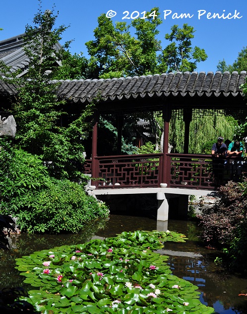Lan Su Chinese Garden: Portland Garden Bloggers Fling