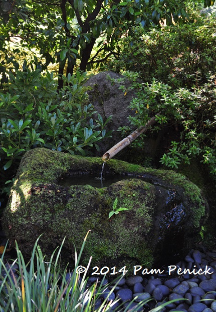 Portland Japanese Garden: Portland Garden Bloggers Fling