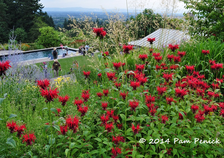 Westwind Farm Studio: Portland Garden Bloggers Fling