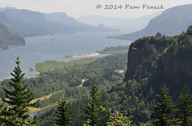 Exploring outside Portland: Columbia River Gorge, lavender farm on the Fruit Loop, and Cannon Beach