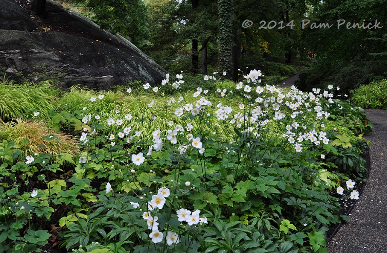 Autumn amble at New York Botanical Garden