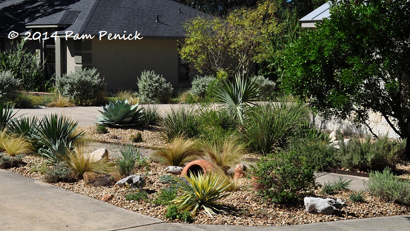 Visiting a San Antonio garden with rocks, oaks, and deer